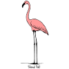 Stand Proud – Flamingo