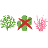 Aquascape