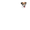 Hundezubehör Terrier Hundebesitzer