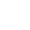 VINDICTA LOGO WHITE