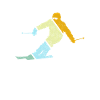 Ski Retro