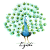Peacock Ezidi