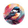 Chickadee bird