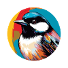 Chickadee bird