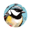 Mésange