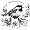 Chickadee bird drawing