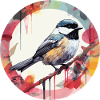 Chickadee bird