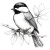 Chickadee bird drawing