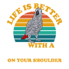 Graupapagei African Grey Parrot Papagei