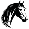 Pferd Pferdekopf Pony
