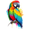 Macaw