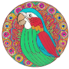 beautiful bright parrot |