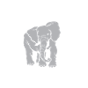 Elefant Kita Kindergarten 2023