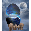 Escape of elephants.