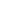 IT director