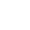 Vice president of sales