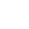 managing director