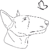 Bullterrier mit Schmetterling