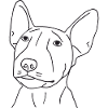 Bullterrier Welpe