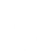 Bullterrier