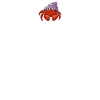 Hermit Crab Gifts