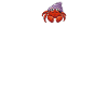 Hermit Crab Gifts