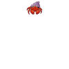 Hermit Crab Gifts