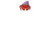 Hermit Crab Gifts