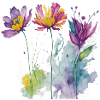 Aquarelle florale