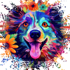 Mehrfarbiger Hund