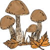 Pilze