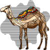 Kamel