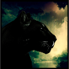 Animal sauvage