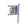 Flag of Ney