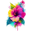 Hibiscus