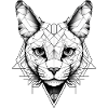 GeoCat