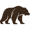 Ours brun