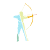 Archery Retro