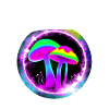 Mikeavelli Pilz