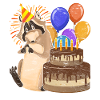 Birthday Birthday Gift Raccoon