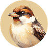 House sparrow
