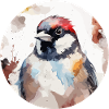House sparrow