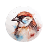 House sparrow
