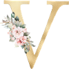 Customizable Monogram V Floral