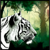 White Tiger