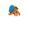 Hermit Crab Gifts