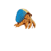 Hermit Crab Gifts
