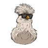 Silkie Smooth Chinese Silk Poulet