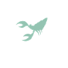 Hermit Crab Gifts