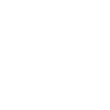 Armadillo Punk